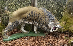 Championnat de l'Ain 3D