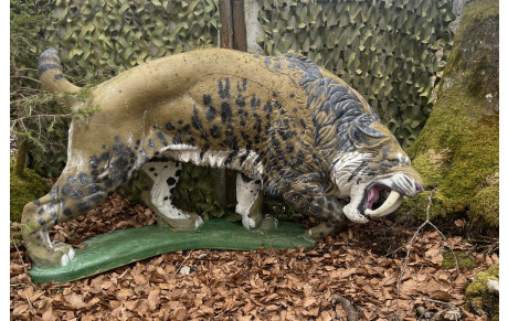 Championnat de l'Ain 3D